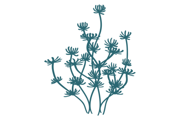 Evaluating Aquatic Plant and Aquarium Decorative Botany for Your Tank