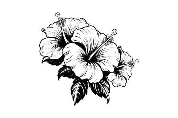 Unlocking Creative Potential: The Strategic Role of the Decorative Hibiscus Flower Silhouette in Modern Branding